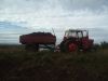 Bringing home the turf - Charlestown Ireland
