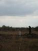 Culloden Moor